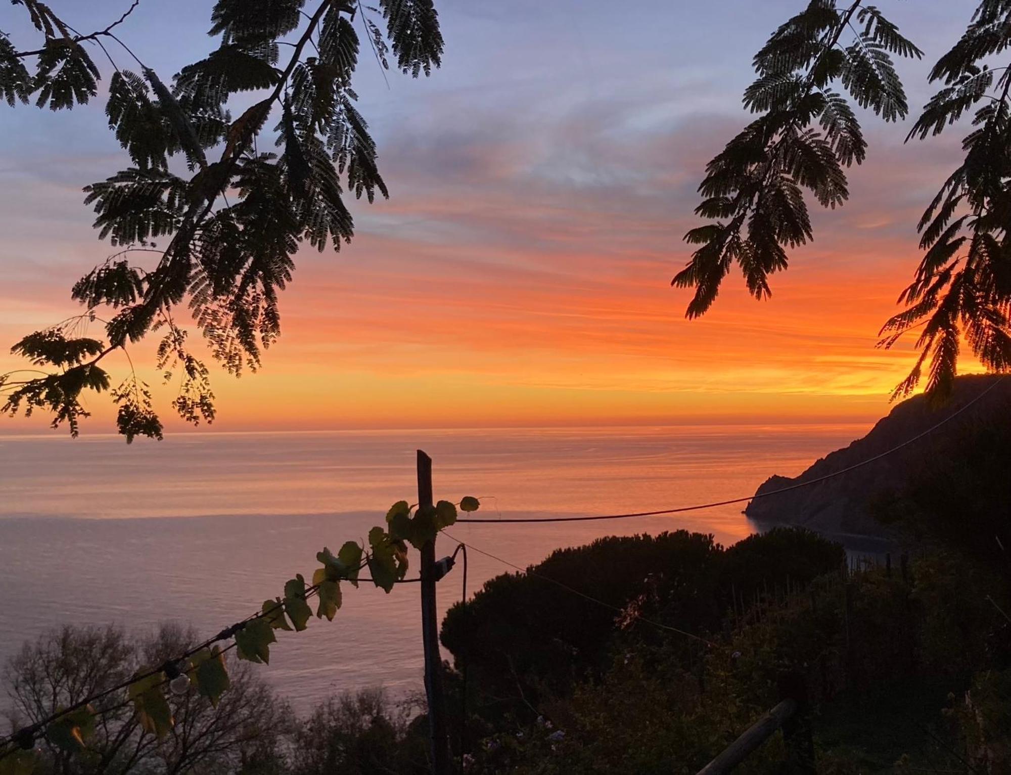 Villa Pietrafiore Monterosso al Mare Exterior photo