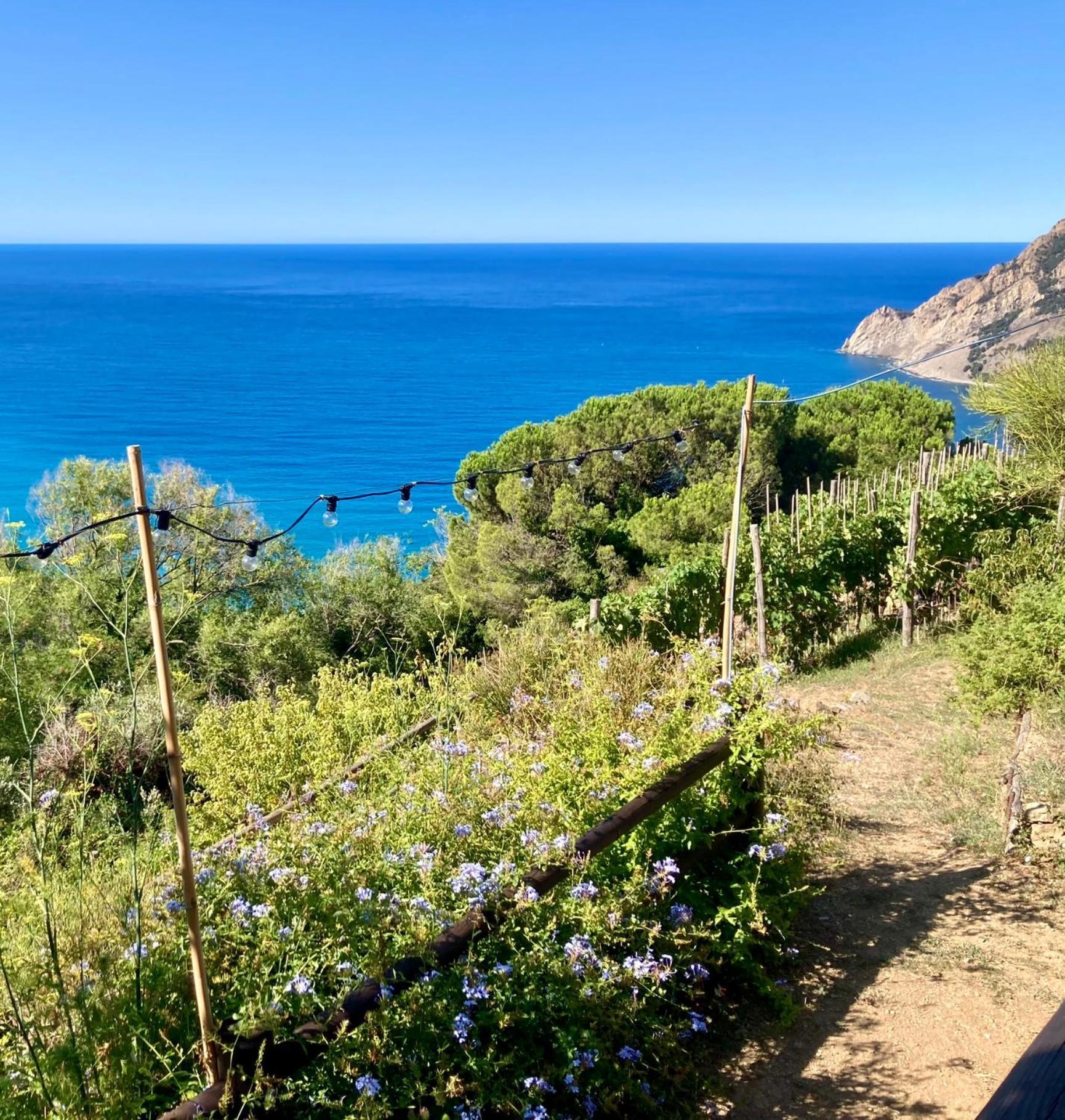 Villa Pietrafiore Monterosso al Mare Exterior photo