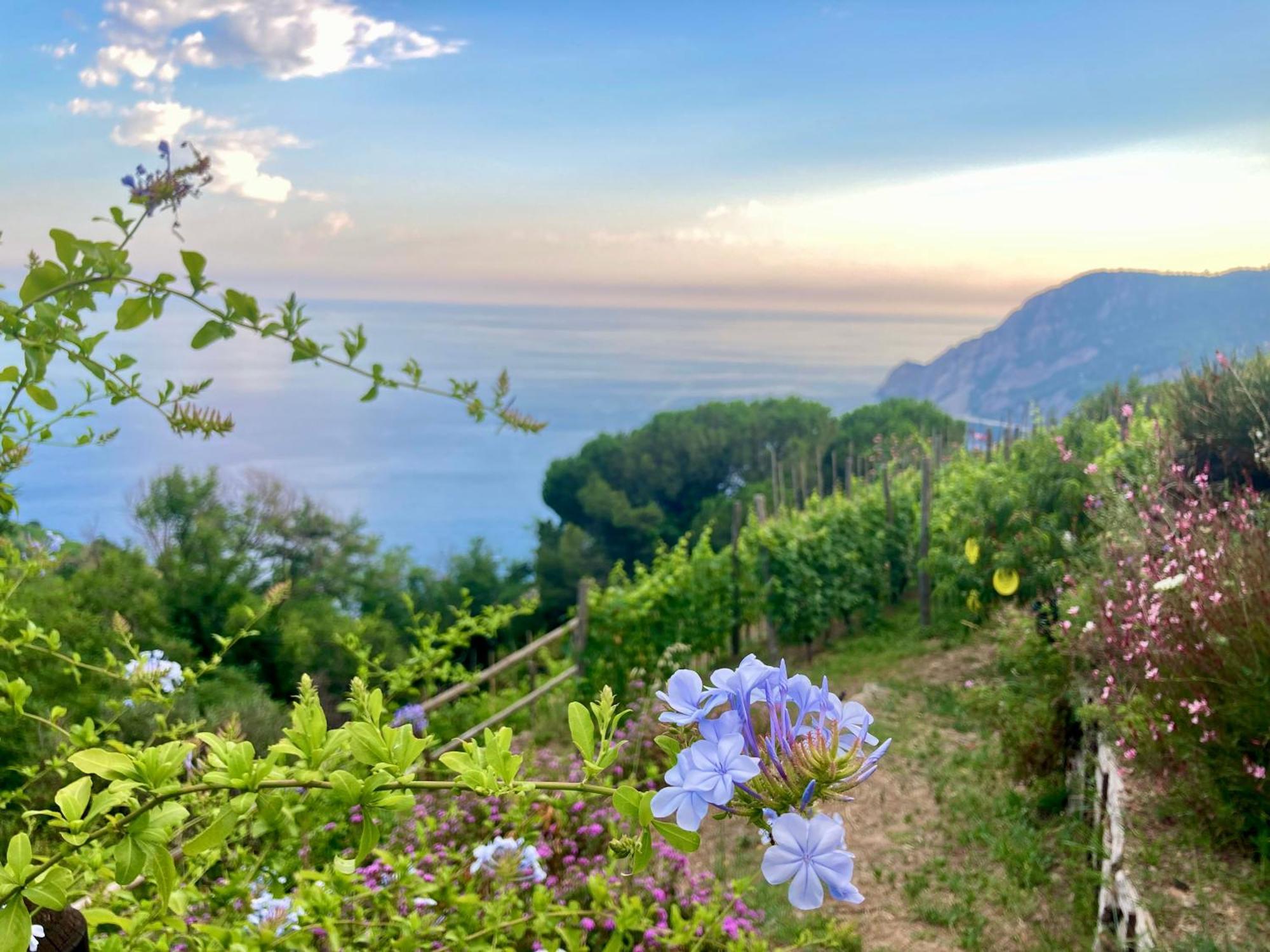 Villa Pietrafiore Monterosso al Mare Exterior photo
